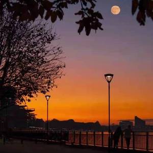 那个叫不出名字却忘不掉的地方（demo）