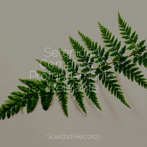 Sueño Ininterrumpido