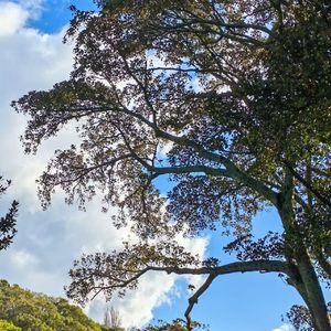 钢琴跃动唤醒者愉悦