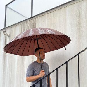 遇见(跑调到山野烂漫)