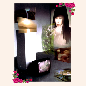 【蛾と蝶について】Ｏｒｉｇｉｎｓ Ｌｉｋｅ Ｆａｉｒｙｔａｌｅ