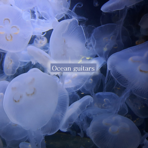 Ocean guitars