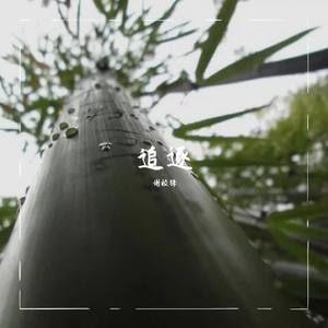 追逐