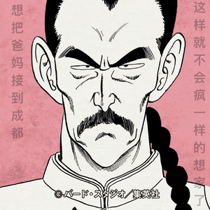 一个愚蠢的河北人