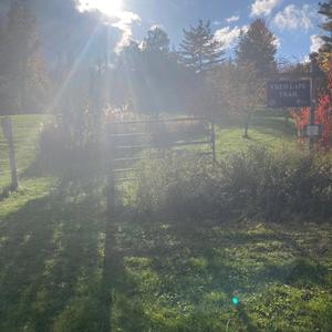 YOSEMITE (instrumental)