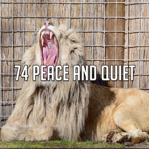 Nodding Off