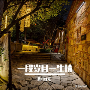 一段岁月一生情