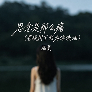 思念是那么痛（菩提树下我为你流泪）
