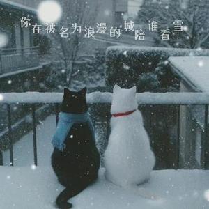 你在被名为浪漫的城陪谁看雪