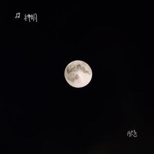凉城旧梦空人心