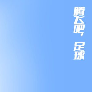 腾飞吧、足球