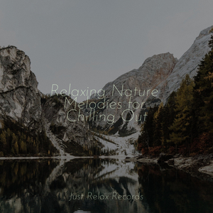 Melodic Veil of Secrecy