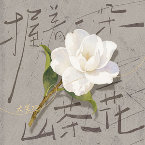 握着一朵山茶花