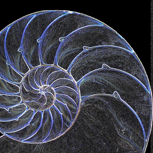 Crepuscular (Alternate Version)