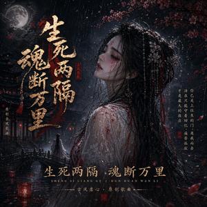 生死两隔 魂断万里