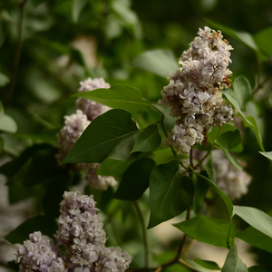 नई शुरुआत