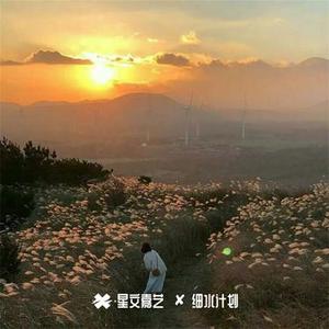 放弃爱情啥都做不好