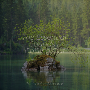 Tranquil Heights Above