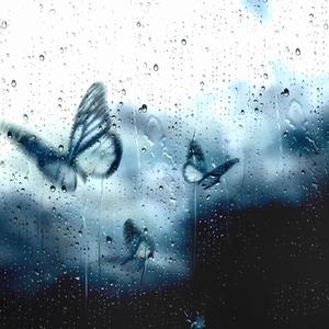 讴歌(Cover Vansdaddy)