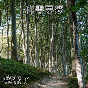 武春雨