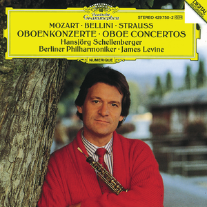 Flute Concerto No.2 In D, K.314 - Original Version For Oboe:3. Rondo. Allegretto