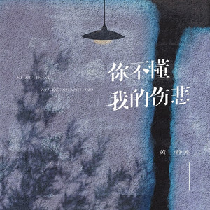 你不懂我的伤悲