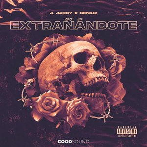 Extrañándote