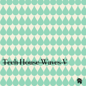 That's What She Said (M.in Remix)