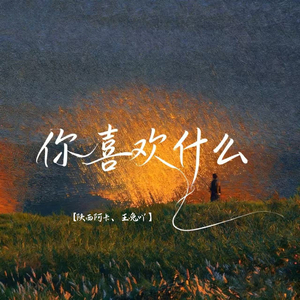 你喜欢什么