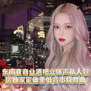 DJ国飞-东南亚商业酒吧立体声私人包房独家定做重低音串烧舞曲（DJ国飞 remix）