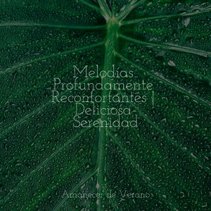 Más allá del borde etéreo