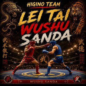 LEI TAI WUSHU SANDA