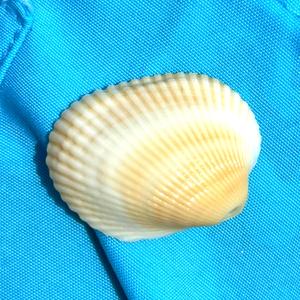 Time For You To (Additional Lyric Demo)