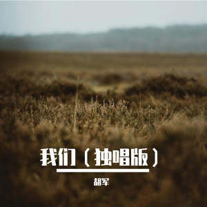 《我们》 独唱版