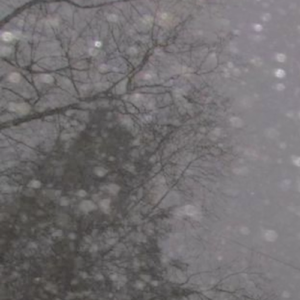 ゴーストロビー