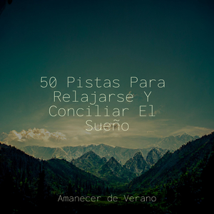 Las lecciones de armonía mantienen los lazos intactos