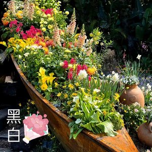 时序暖律（女声版）
