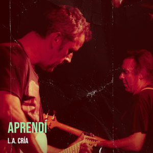 Aprendí
