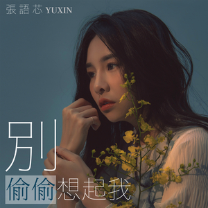 别偷偷想起我 (伴奏)