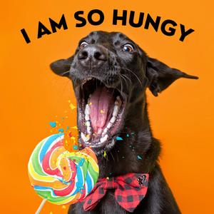 I Am So Hungy