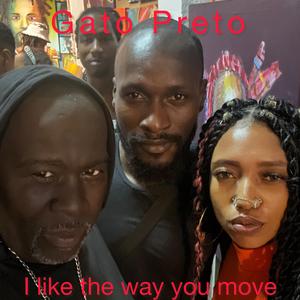 I Like the way you move (feat. Brazilian Connect, Dj Amar Mansoor, Dami falade & Afroyá)