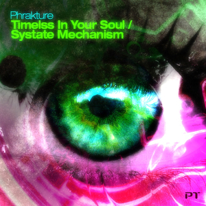 Systate Mechanism (Original Mix)