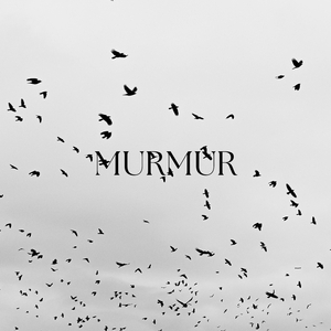 Murmur