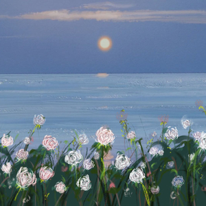 Evening Glow