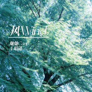 风 Wind