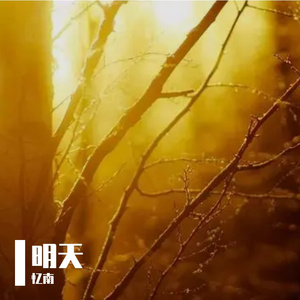 《深渊中的微光》