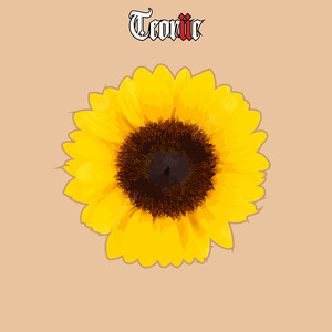 Girasol