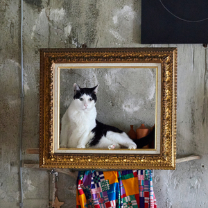 スルーザロンリーナイツ