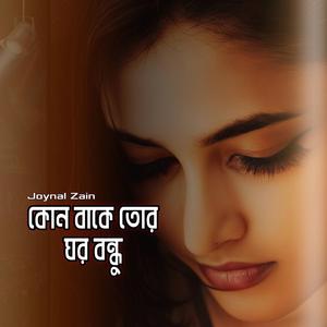 কোন বাকে তোর ঘর বন্ধু