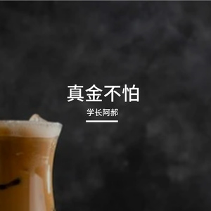 真金不怕